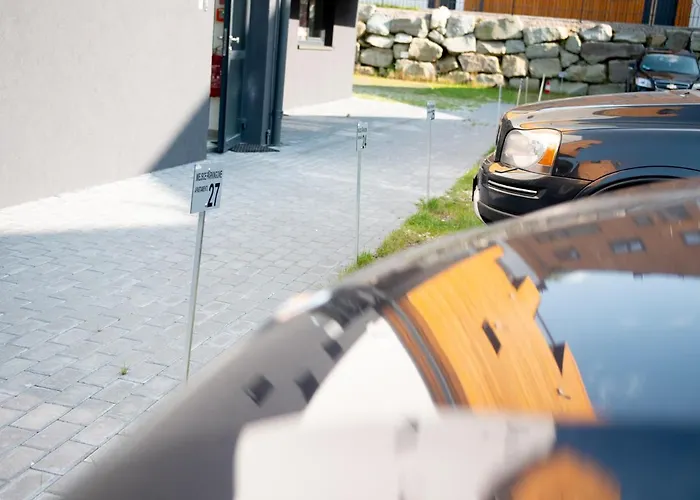 Ptasie Nowosc Z Widokiem Na Gory