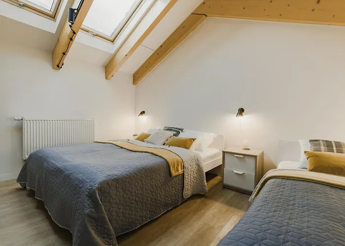 Ptasie Nowosc Z Widokiem Na Gory